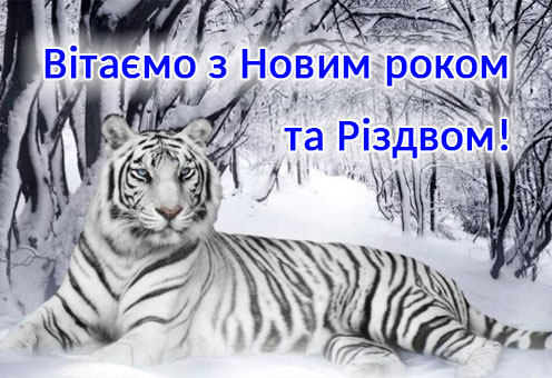 З Новим роком та Різдвом!