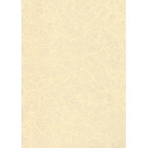 Плівка PEARL Sand, 1,65 м ширина, товщина 1,6 мм